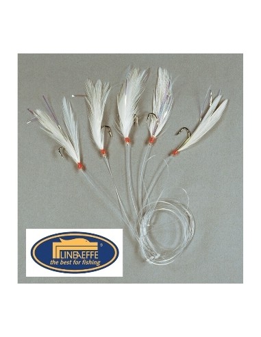 20 PAQUET, SABIKIS-PLUMES-POULPES