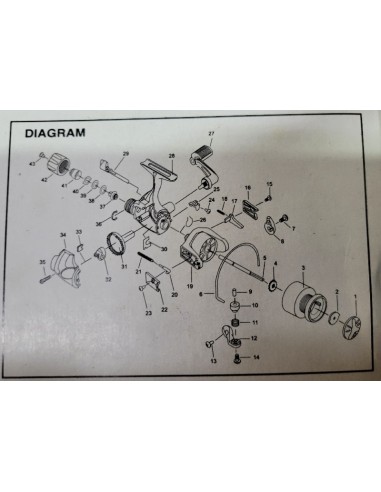 MULINELLO ZITAL - 35 