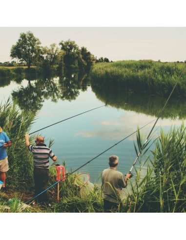 CANA TELESCOPICA KELMAN NIEVA 5.00M.