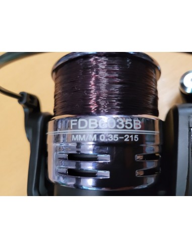 Daiwa Karpfen-Angel-Kombi-Set CARPE 02