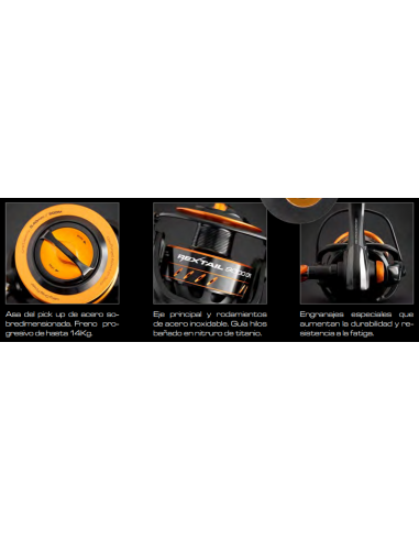 CINNETIC MULINELLO REXTAIL 9000 CRBK