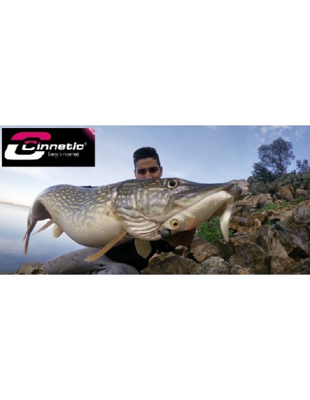 CINNETIC ANGELRUTE LAGOS SHALLOW PIKE 2.40M