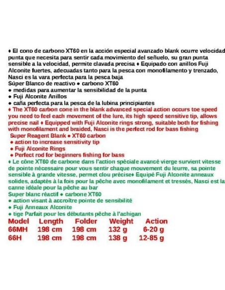 NASCI CASTING 6' 6 BASS