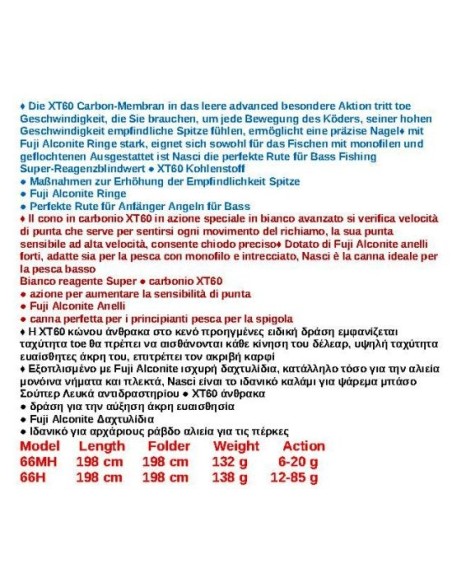 NASCI CASTING 6' 6 BASS