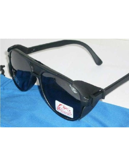 POLARIZED SUNGLASSES regulator input light