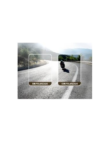 POLARIZED SUNGLASSES regulator input light