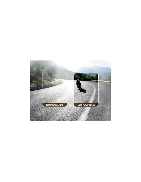 POLARIZED SUNGLASSES regulator input light