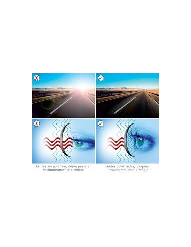 ULLERES POLARITZADES AMB regulador d'entrada de LLUM