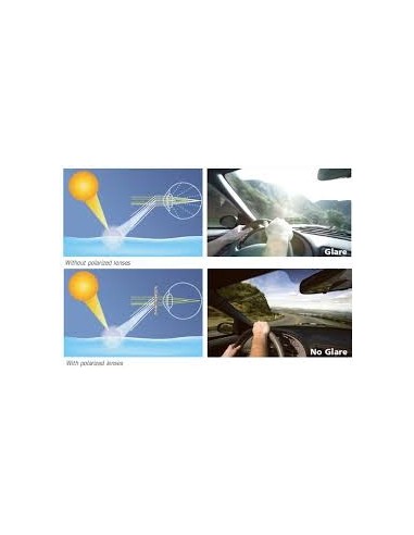 POLARIZED SUNGLASSES regulator input light