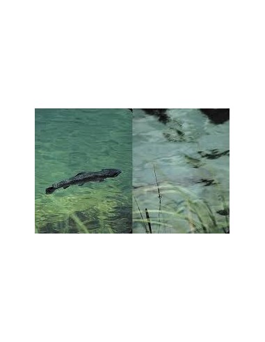 GAFAS POLARIZADAS con regulador de entrada de luz