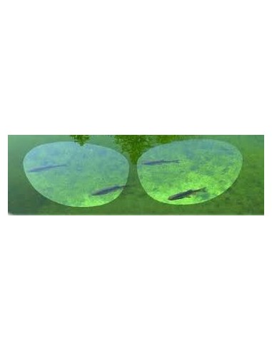 GAFAS POLARIZADAS ABATIBLES