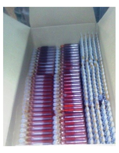 Ultrabite PHEROMONES