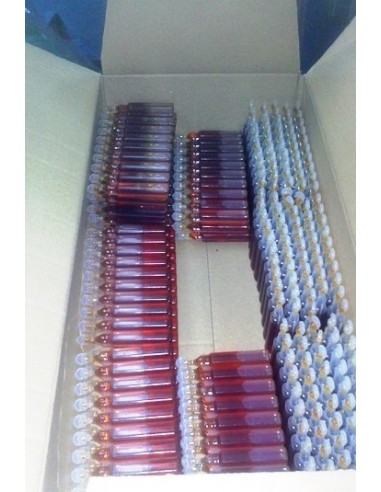 Ultrabite feromonokat