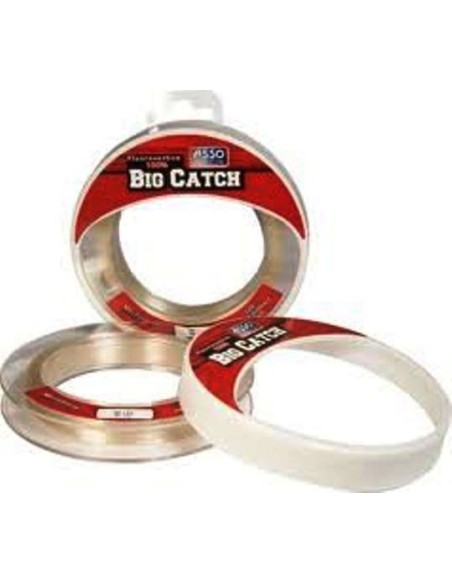 ASSO 100% FLUOROCARBON BIG CATCH