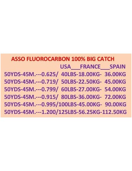 ASSO 100% FLUOROCARBON BIG CATCH