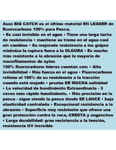 ASSO 100% FLUOROCARBON BIG CATCH