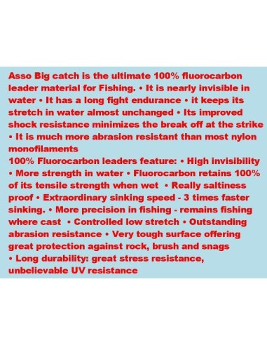 ASSO 100% FLUOROCARBON BIG CATCH