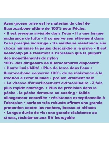 ASSO 100% FLUOROCARBON BIG CATCH