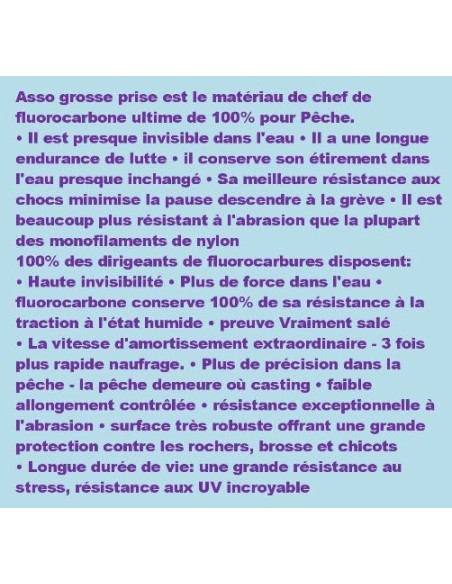 ASSO 100% FLUOROCARBON BIG CATCH