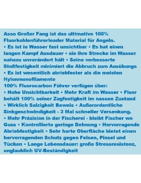 ASSO 100% FLUOROCARBON BIG CATCH