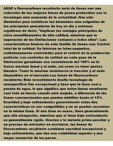 ASSO 100% FLUOROCARBON BIG CATCH