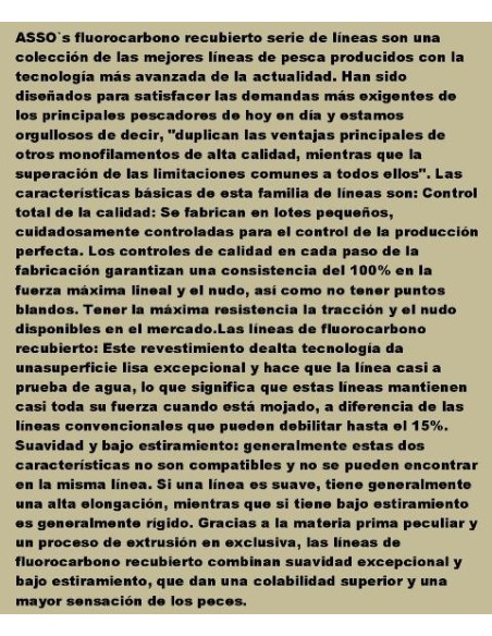 ASSO 100% FLUOROCARBON BIG CATCH