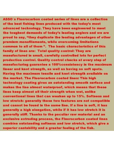 ASSO 100% FLUOROCARBON BIG CATCH