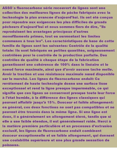 ASSO 100% FLUOROCARBON BIG CATCH