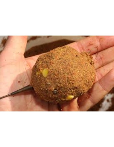 gran cebador method y kit molde