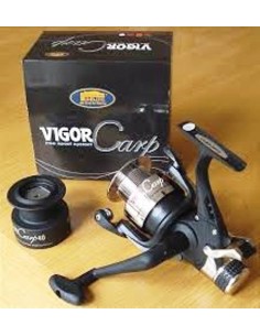 VIGOR CARP