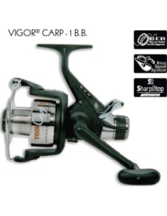 VIGOR CARP 2