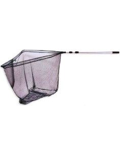 ATERIZARE NETE EXPERT CARP 3M.