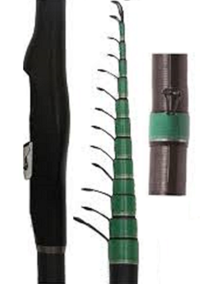 TELE MATCH R783 RIVE