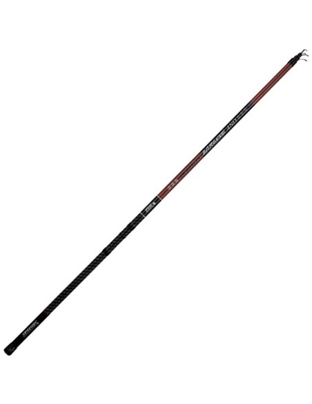 BOLOGNAISE GARONNE 5,8M