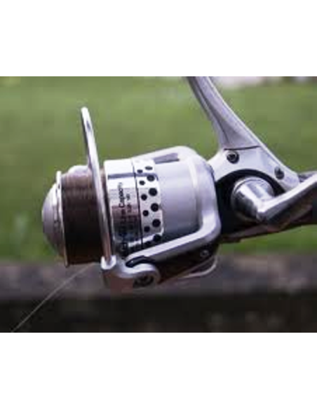 PREMIUM AWARD FR 40 MATCH