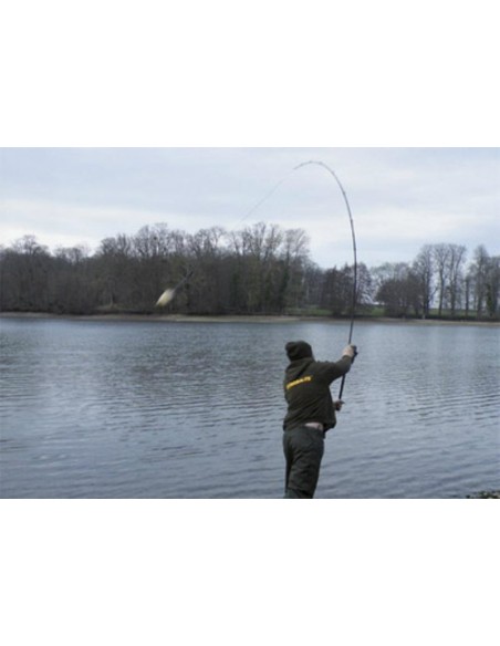 CANNE PARTNER KII SPOD