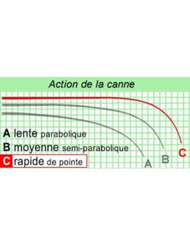 CANNE PARTNER KII SPOD