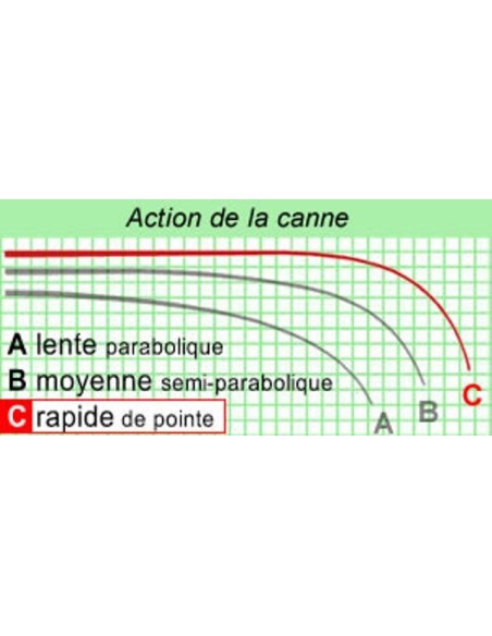 CANNE PARTNER KII SPOD