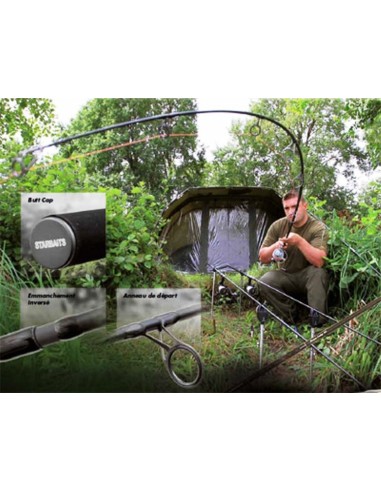 CANNE PARTNER KII SPOD