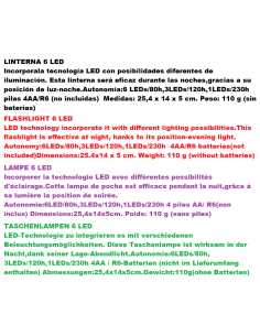lanterne  6 LED 2