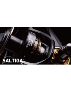 DAIWA SALTIGA DOG FIGHT H 7000