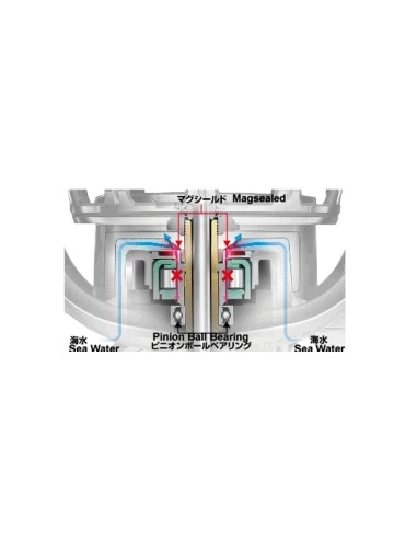 DAIWA SALTIGA EXPEDITION 5500H