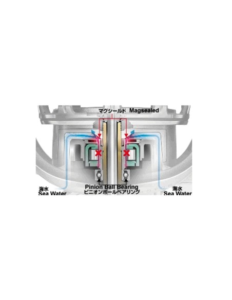 DAIWA SALTIGA EXPEDITION 5500H