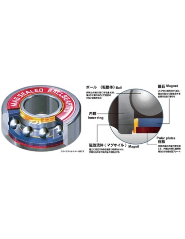 DAIWA SALTIGA EXPEDITION 5500H