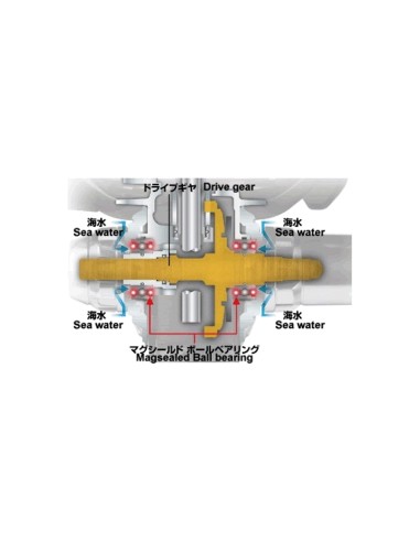 DAIWA SALTIGA EXPEDITION 5500H