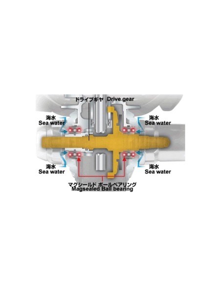 DAIWA SALTIGA EXPEDITION 5500H