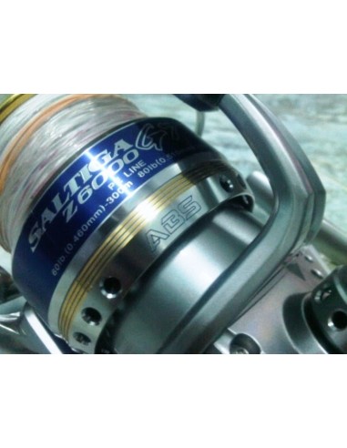 DAIWA SALTIGA Z 6000 GT