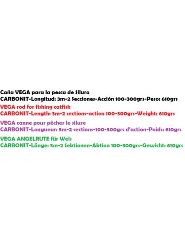 CANNE NEW SILURO MEQUINENZA