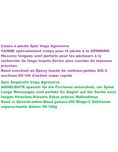 ANGELRUTE VEGA AGRESSIVE SPIN