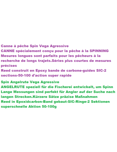 ANGELRUTE VEGA AGRESSIVE SPIN